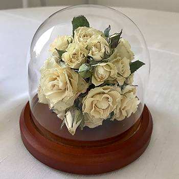 Dome with White Roses