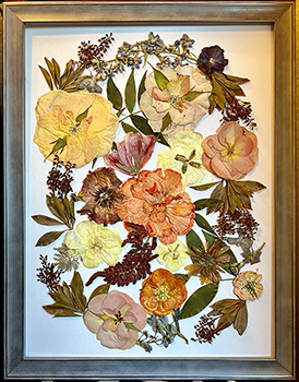 Pressed brown frame with multi flowers